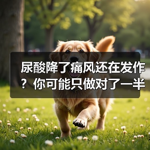 尿酸降了痛风还在发作？你可能只做对了一半（图3）