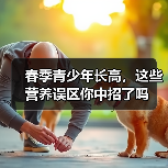 春季青少年长高，这些营养误区你中招了吗