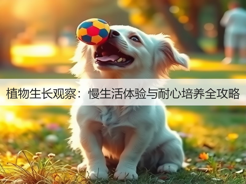 植物生长观察：慢生活体验与耐心培养全攻略