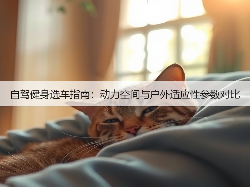 自驾健身选车指南：动力空间与户外适应性参